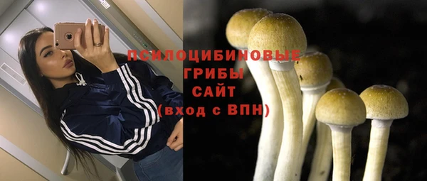 круглые Касимов