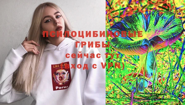 метамфетамин Карпинск