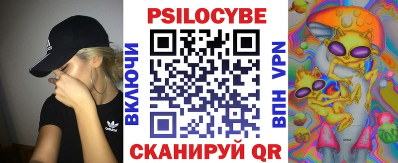 Купить где Кирово-Чепецк Псилоцибиновые грибы Magic Shrooms